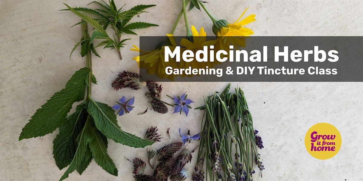 DIY Medicinal Herbs Workshop