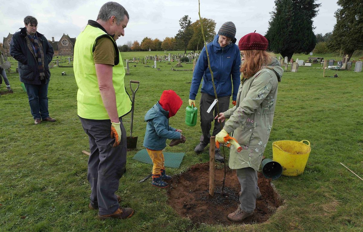 Orchard planting - apples!