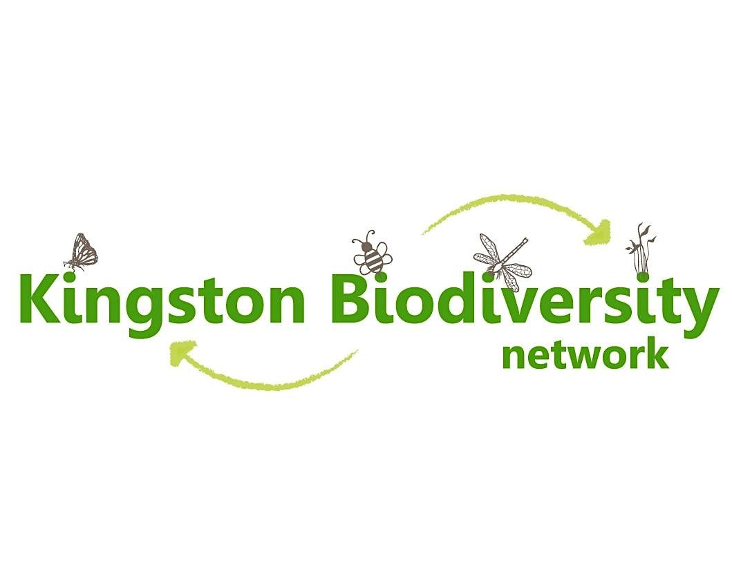 Kingston Biodiversity Network January 2026 Meeting