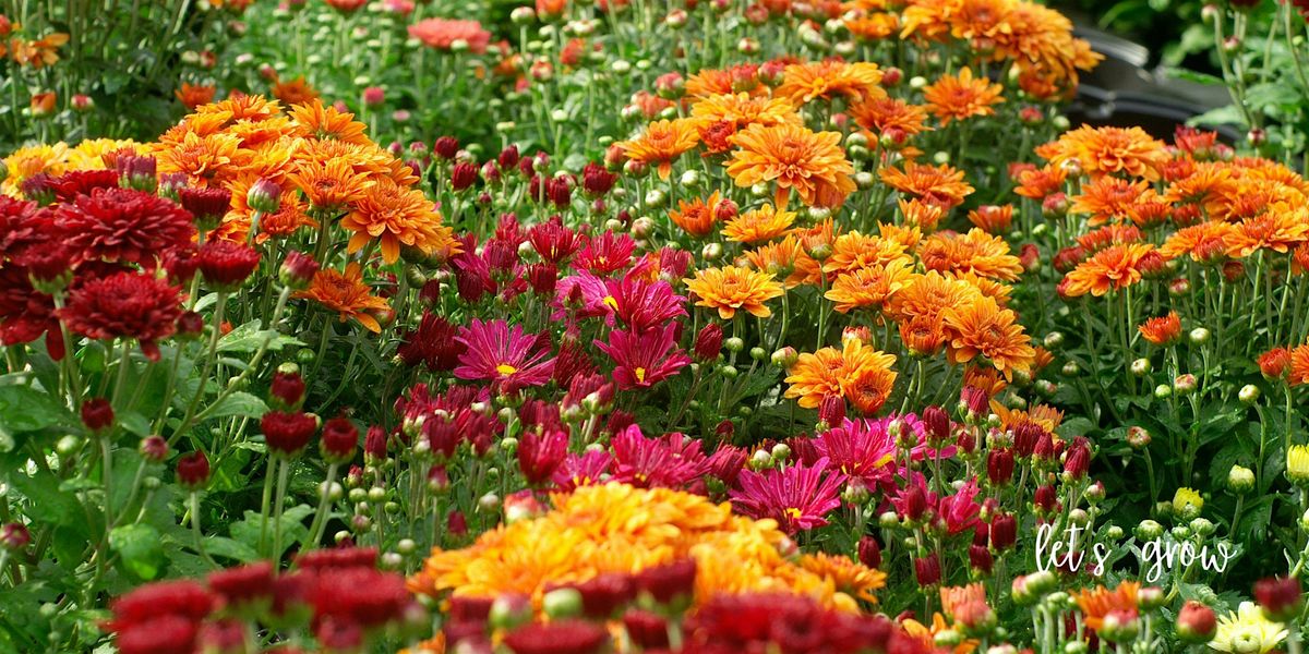Fall Color Container Workshop