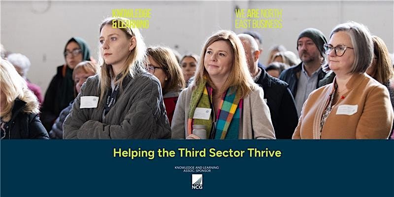 Business Leadership Mindset for the 3rd Sector