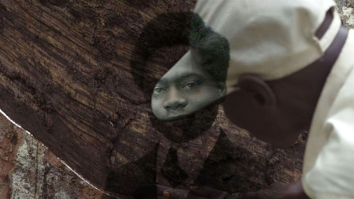 Baltic Cinema: L\u2019Arbre d\u2019Authenticit\u00e9 (The Tree of Authenticity)