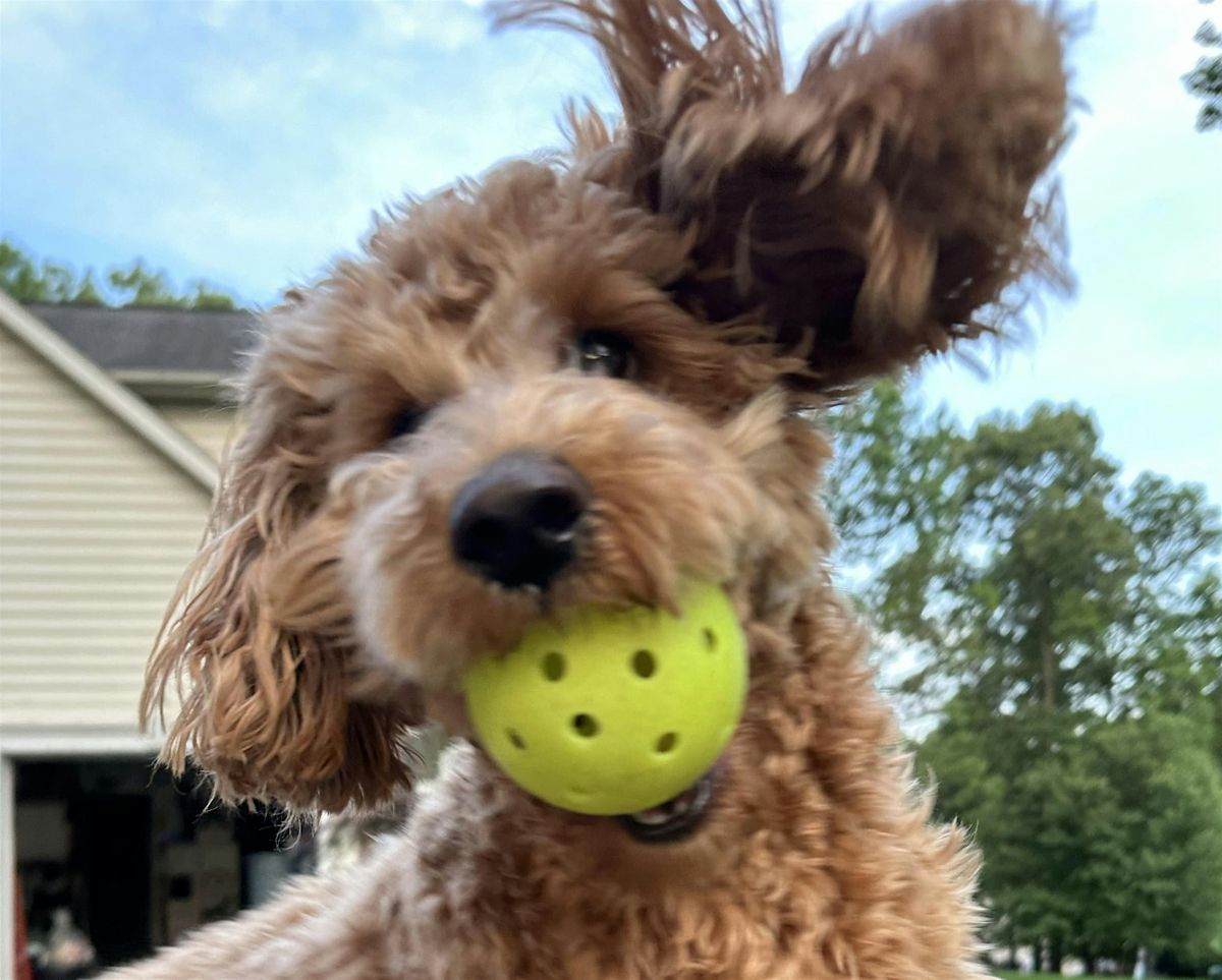 Pickle for Pups Pickleball Fall Edition 2025
