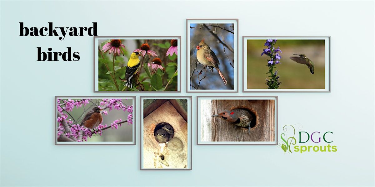 Backyard Birds with DGC Sprouts