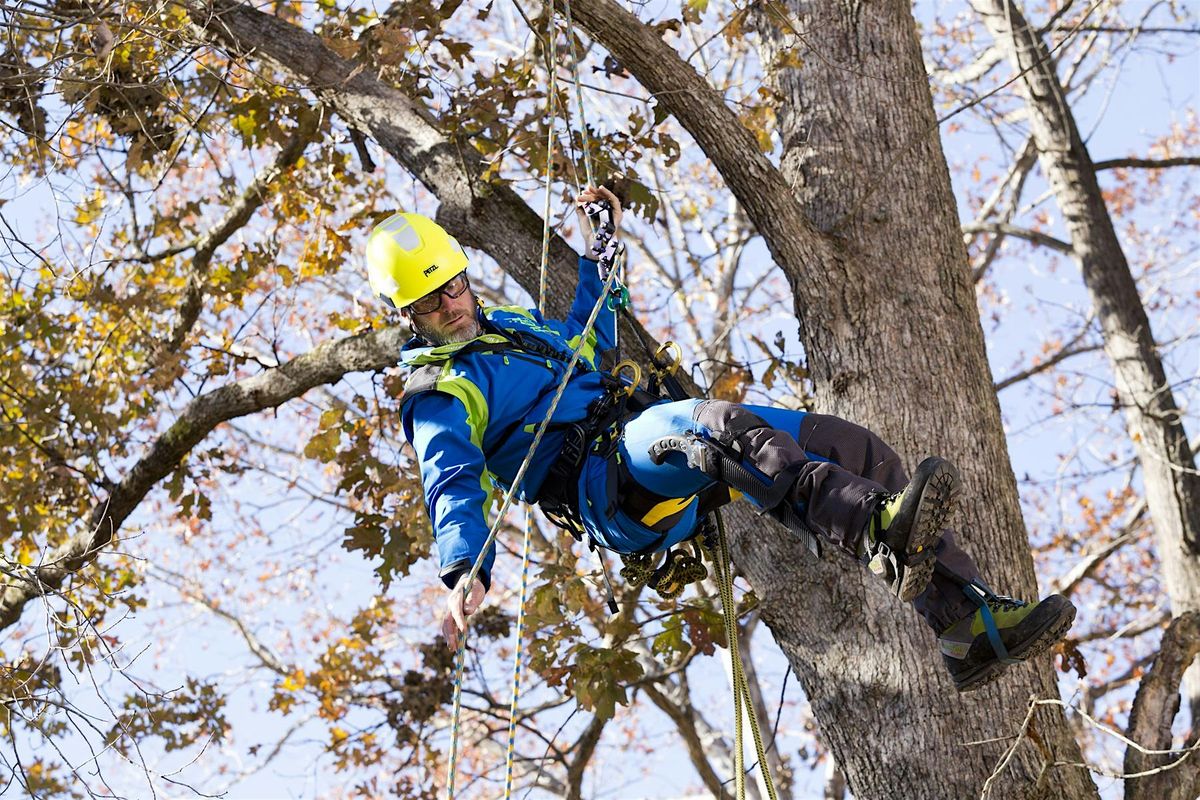 Arborist Training - Aurora, IL