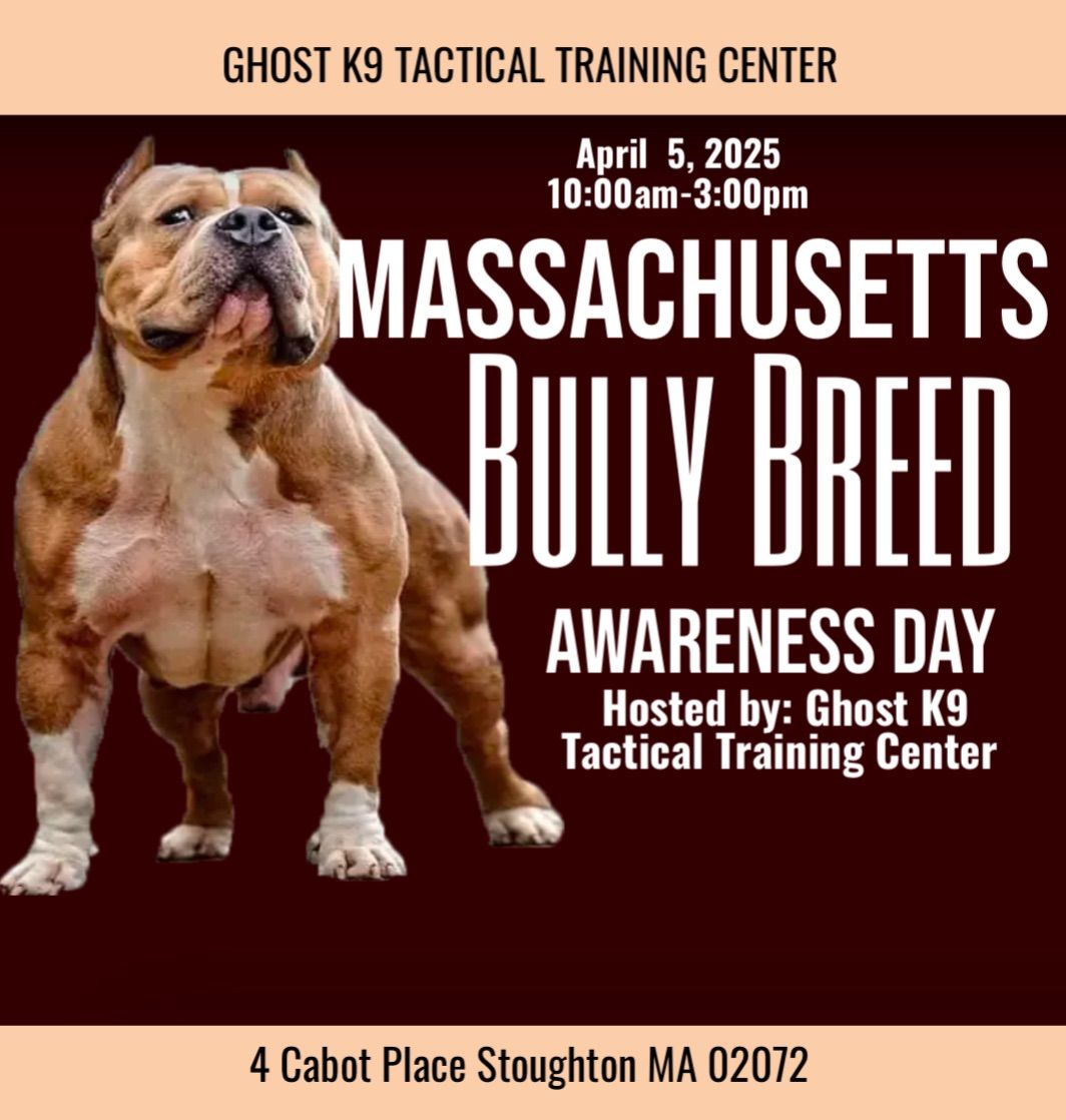 Massachusetts Bully Breed Awareness Day