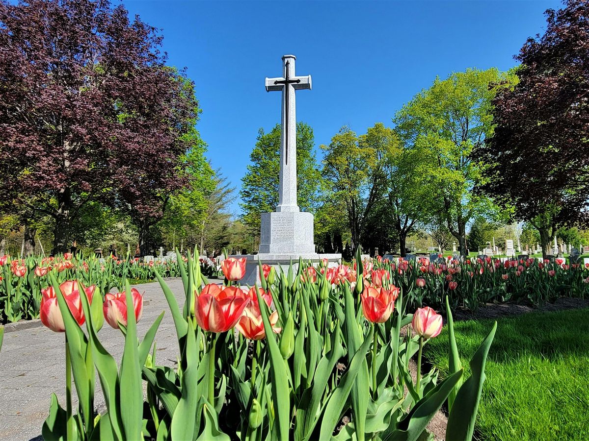 CWGC War Graves Week Tour 2026 - Beechwood Cemetery