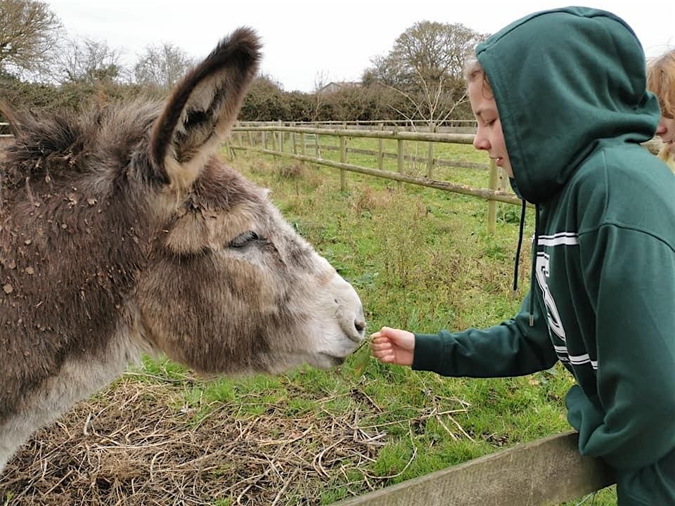 Christmas At The Farm Holiday Session for 5-11yrs (Free HAF Spaces)