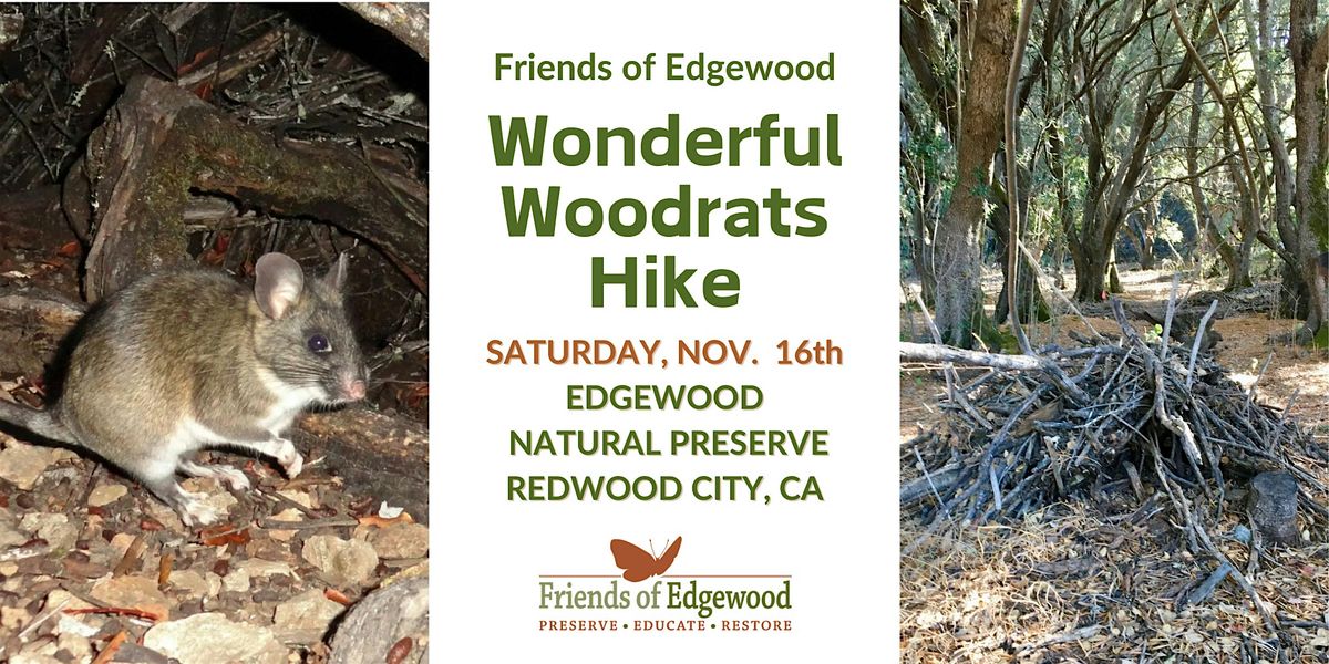 A Special Fall Hike: The Wonderful Woodrat