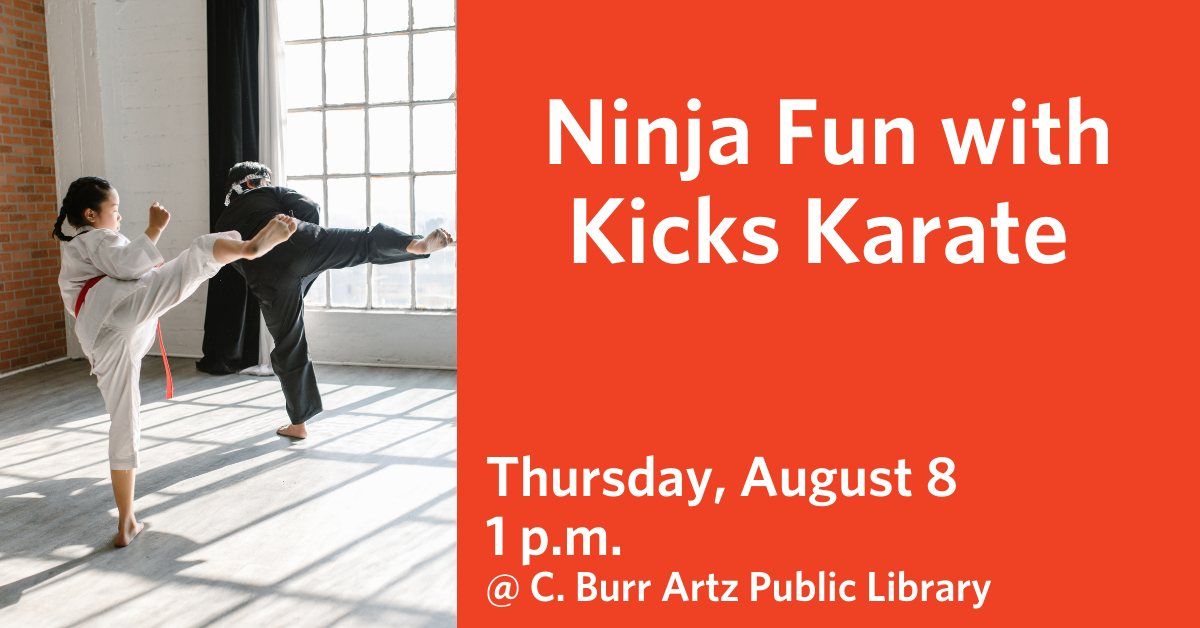 Ninja Fun with Kicks Karate