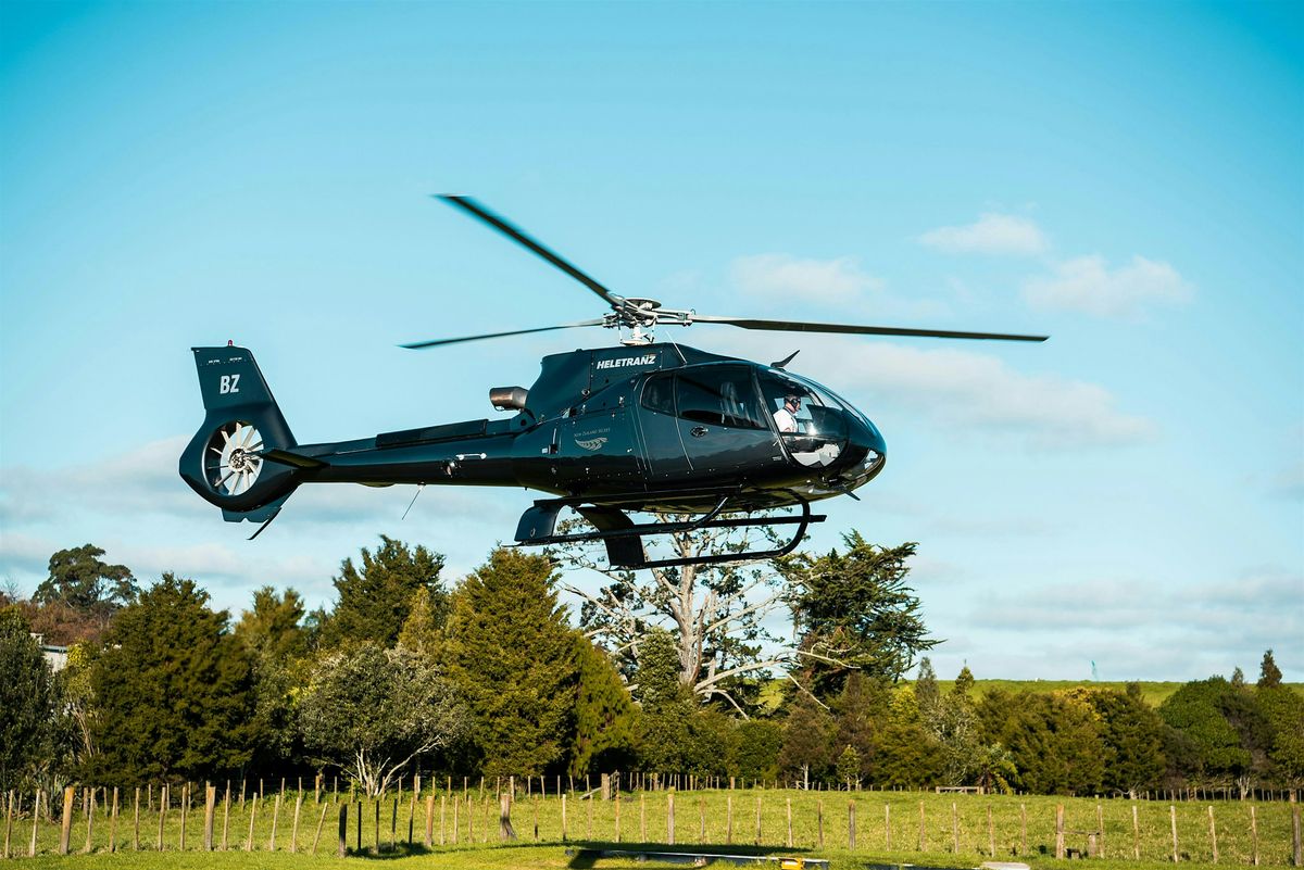 Black History Helicopter Tour of London