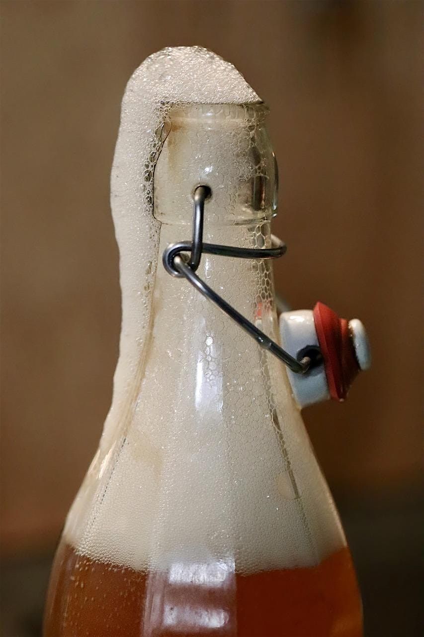 Fermented Beverages