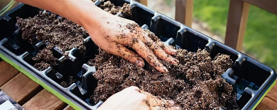 Children's Potting & Seed Starting Party: Charlottesville