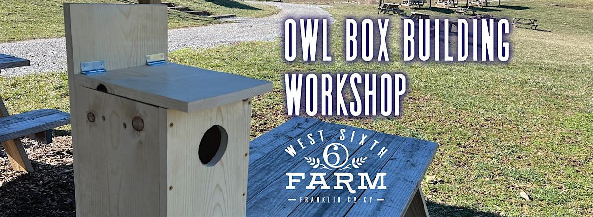 Owl Box Building Workshop at West Sixth Farm