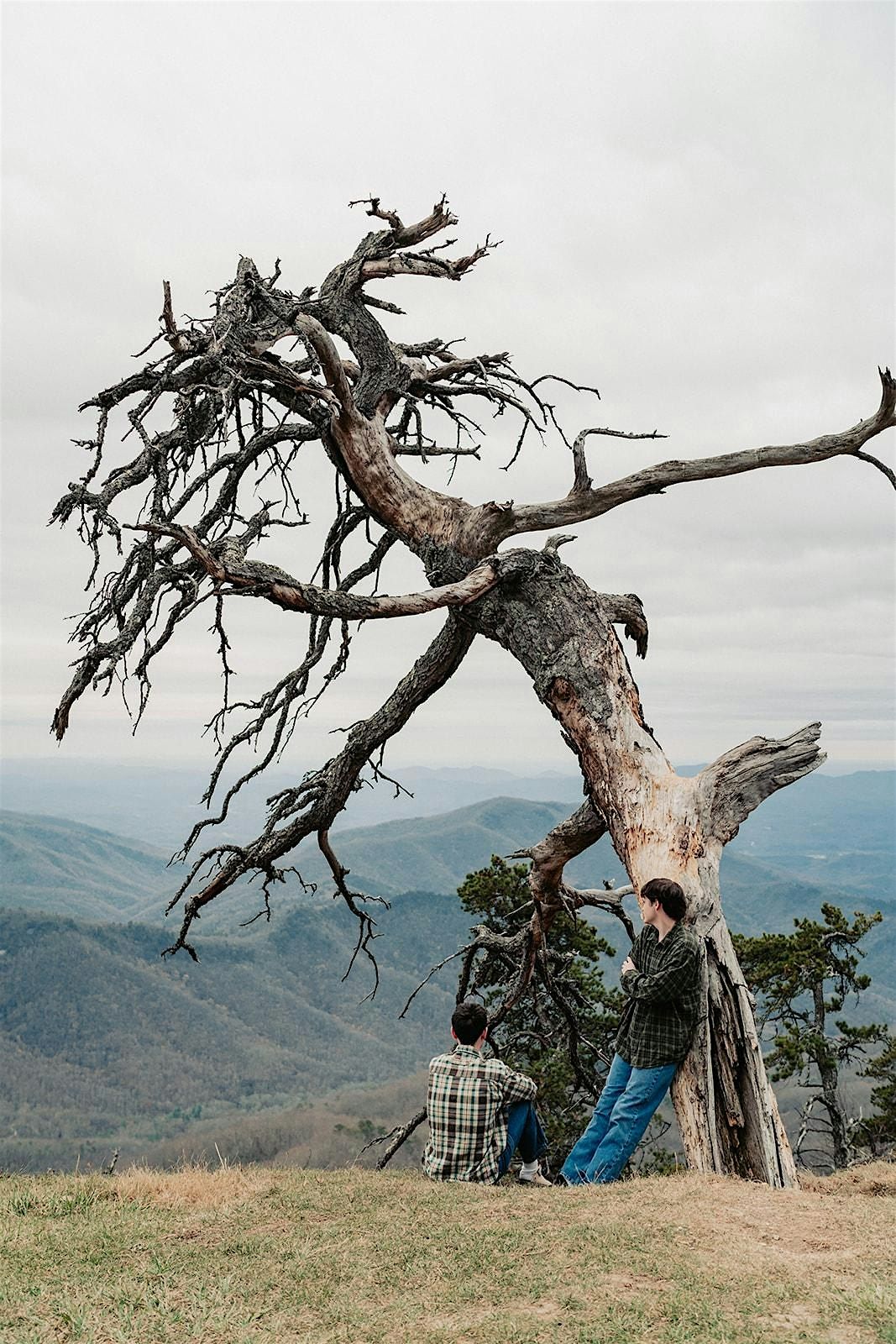 Mountain Minis, Blue Ridge Parkway