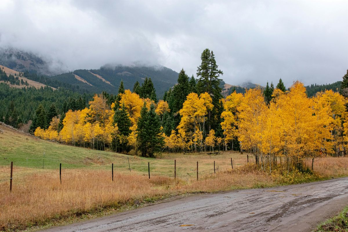Nature Poetry: Autumn, Change, and Seasonal Spookiness