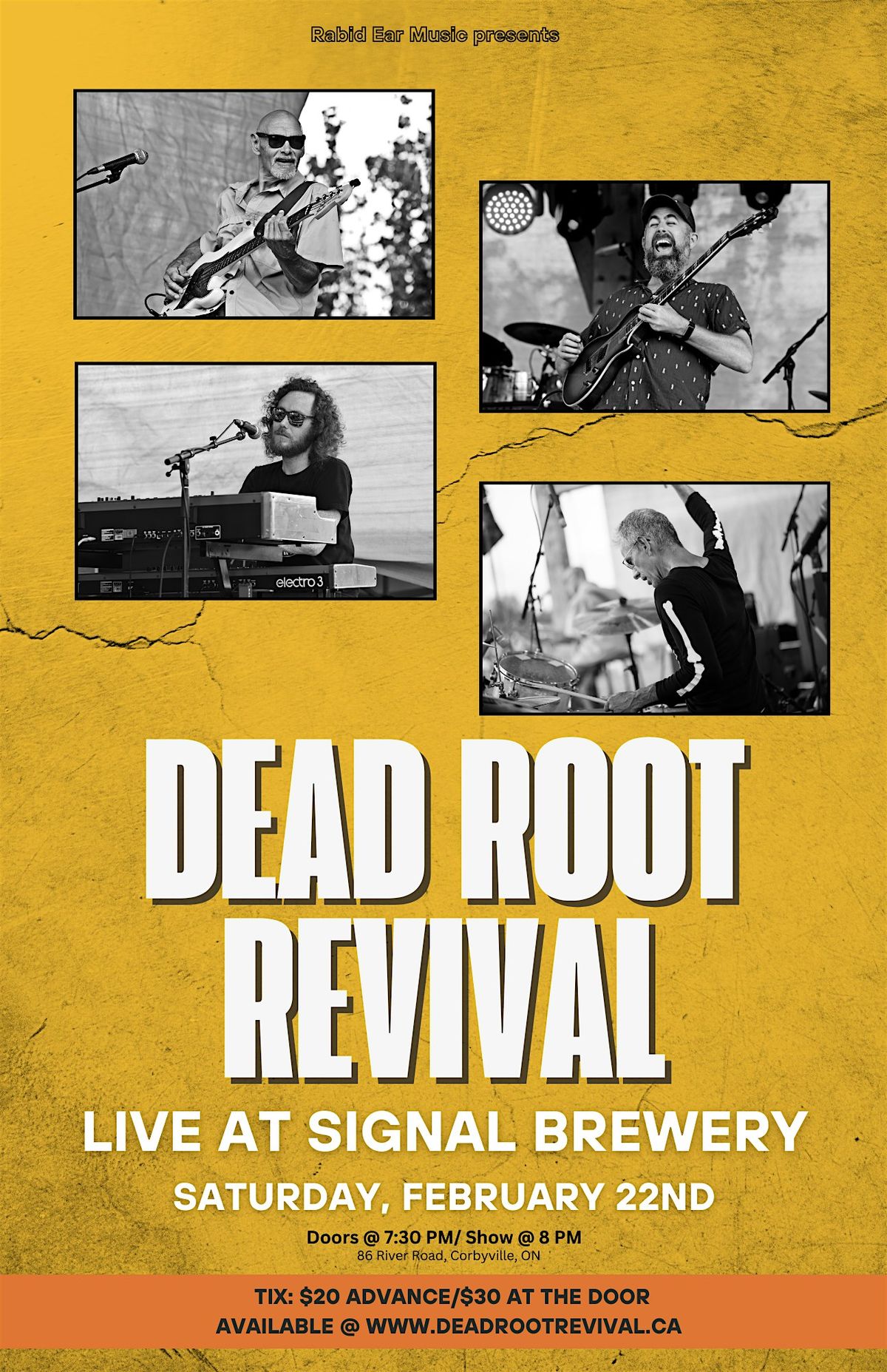 Dead Root Revival Live in Concert