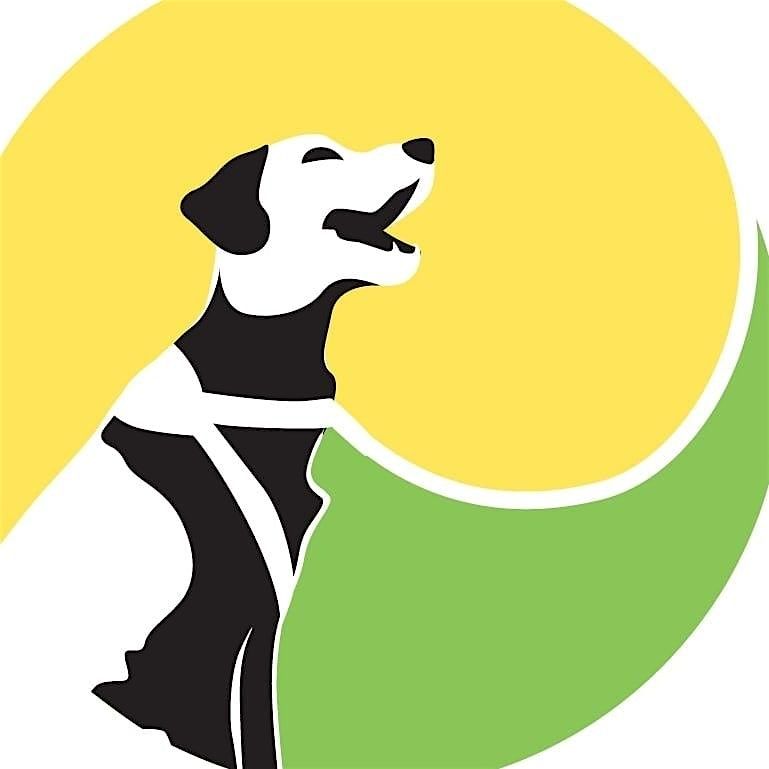 Helping you discover control with your reactive dog-Group Class