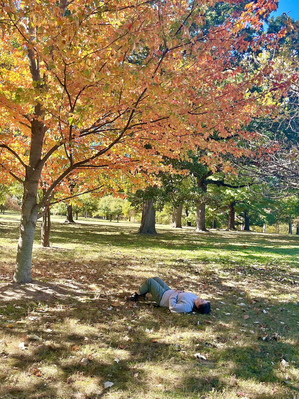 Mindfulness Program: Wanderings