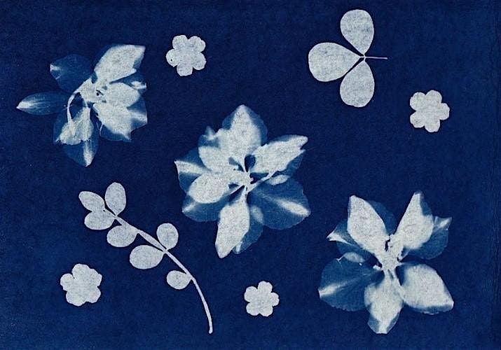 Sunprint Cyanotypes | Jake Willwerth, Instructor