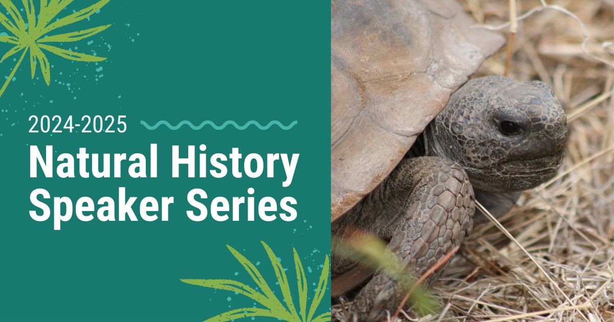 What\u2019s Happening with Boyd Hill\u2019s Gopher Tortoises?