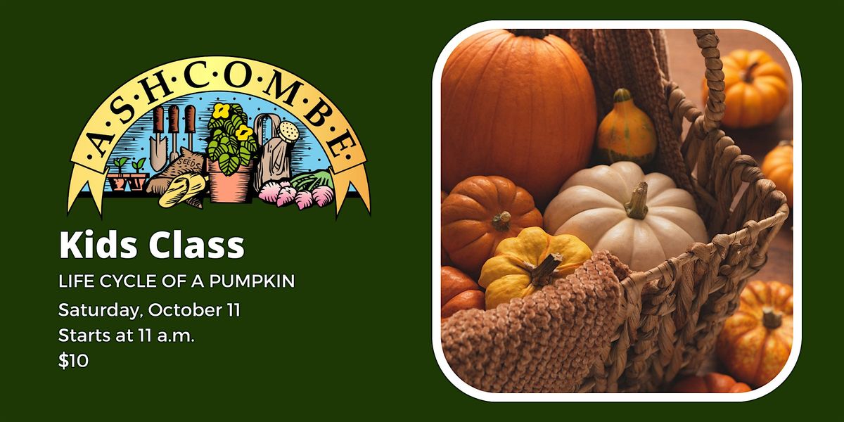 Pumpkin Life Cycle Class