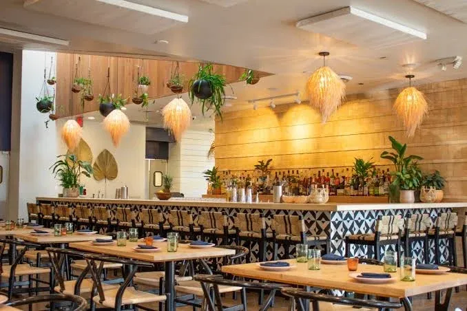 Dinner at Canje Restaurant