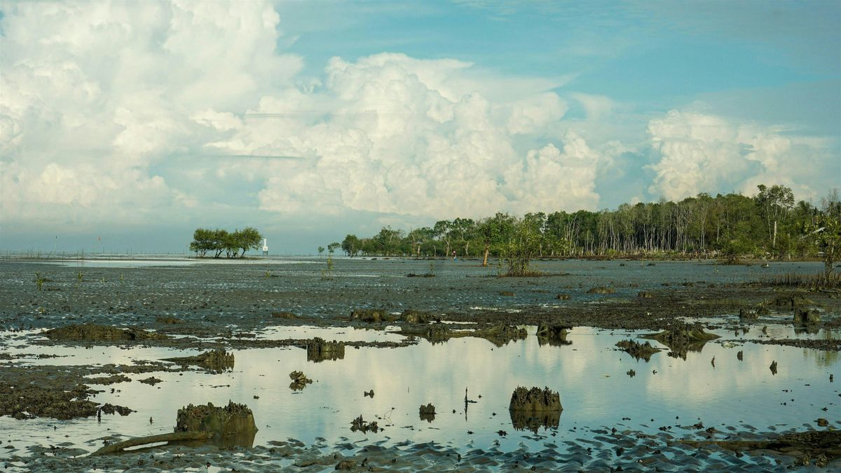 Improving Florida's Infrastructure and Coastal Forecasting