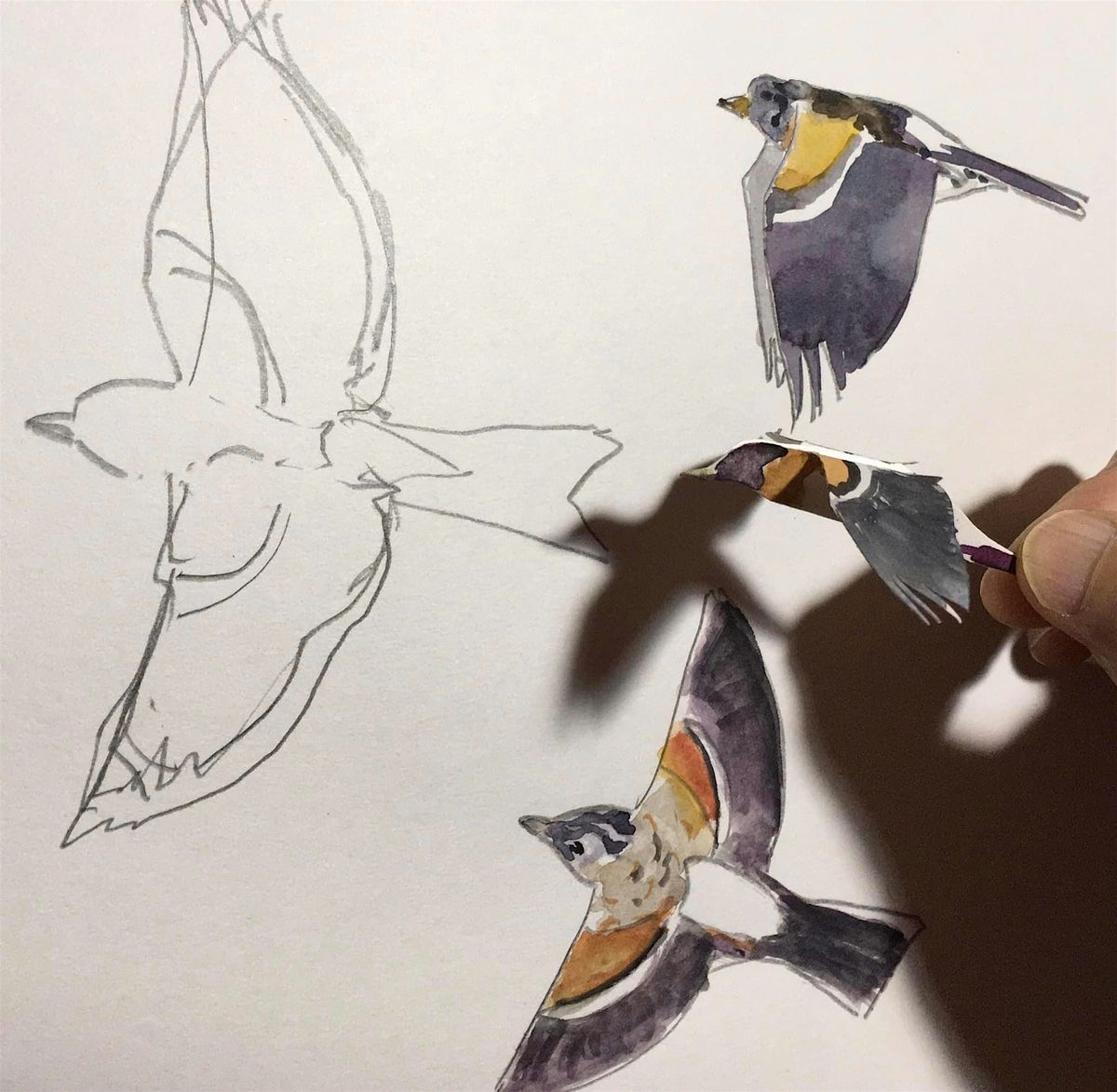 Cley Marshes - Wilder Youth Sessions (11-17yrs)