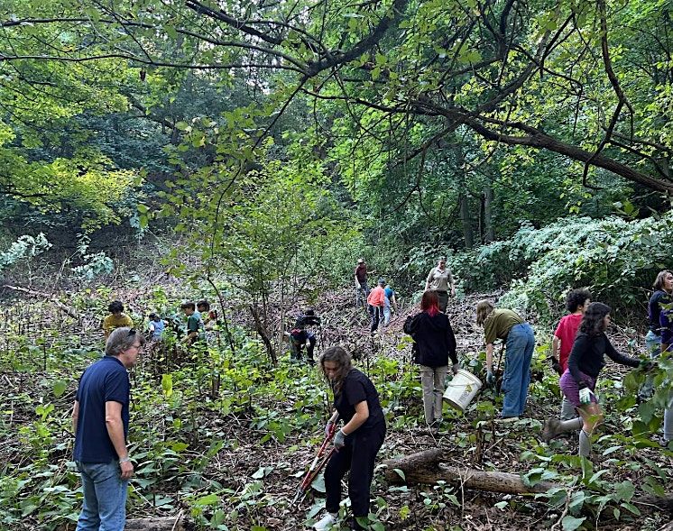 Frick Park October Conservation Crew