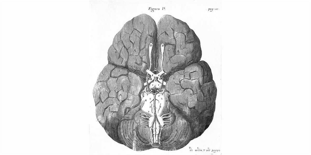 Lunchtime Talk: 'Oxford in the History of Medicine'
