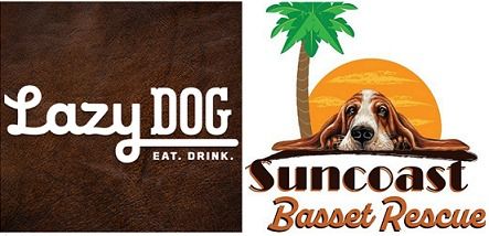 Basset Hound Takeover at Lazy Dog Restaurant & Bar!