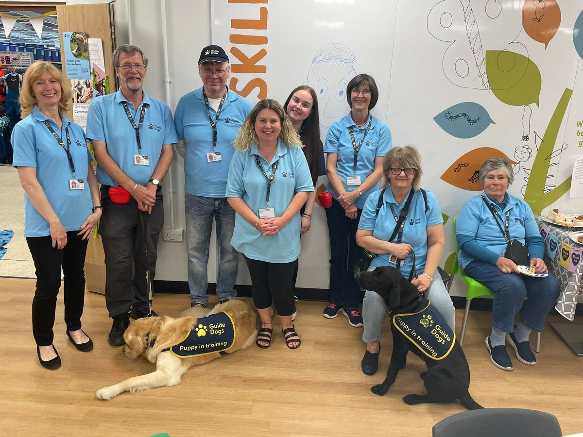 Guide Dogs at the Meridian Centre, Havant 