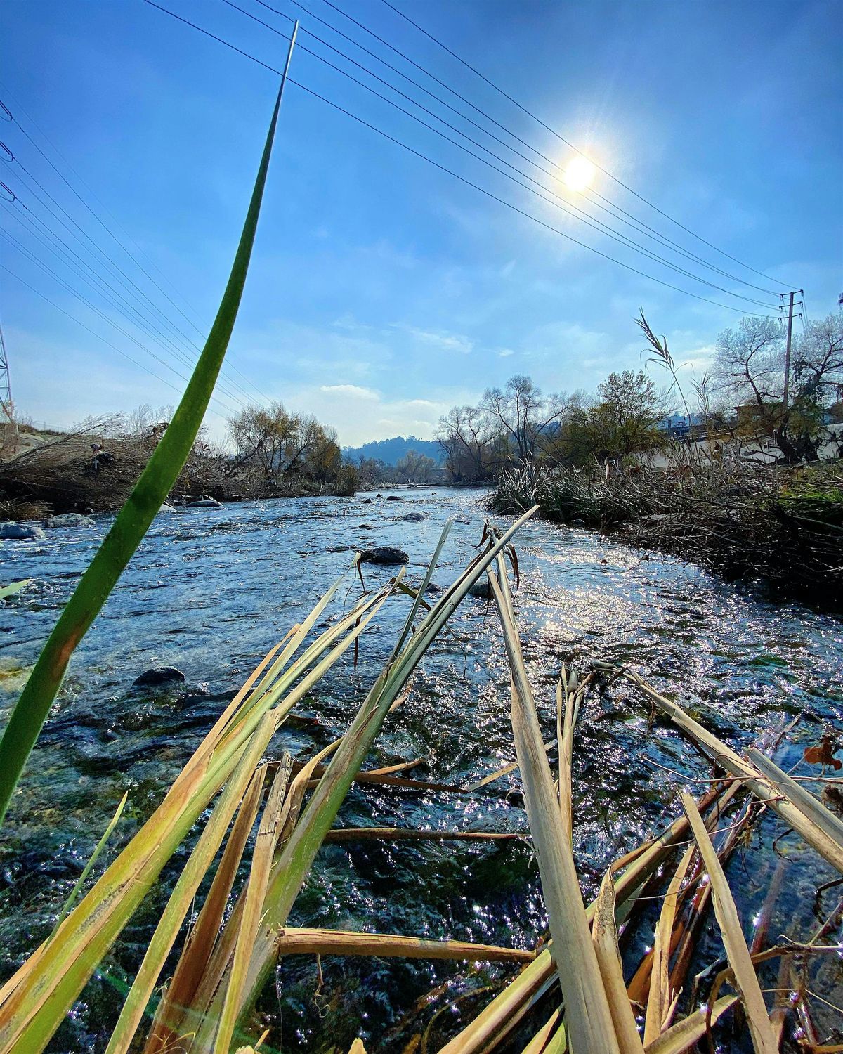 Urban Ecology Walk ~ the Lessons of the LA River & our LA Fire Future