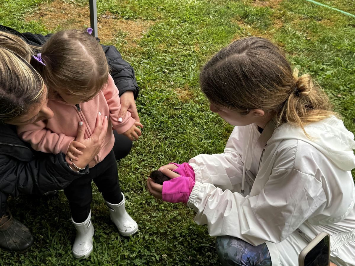 Fall Family Fun Day at Rose Cherry Homestead