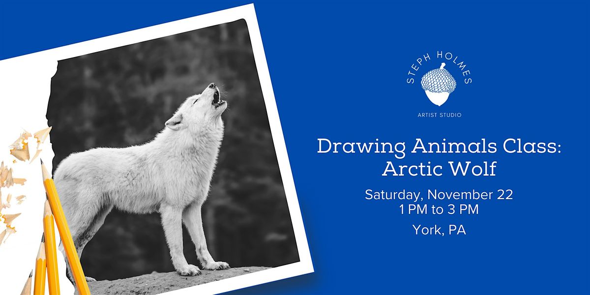 Drawing Animals Class: Arctic Wolf