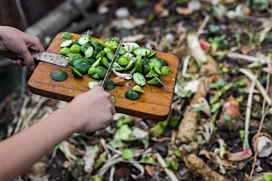 Composting Workshop