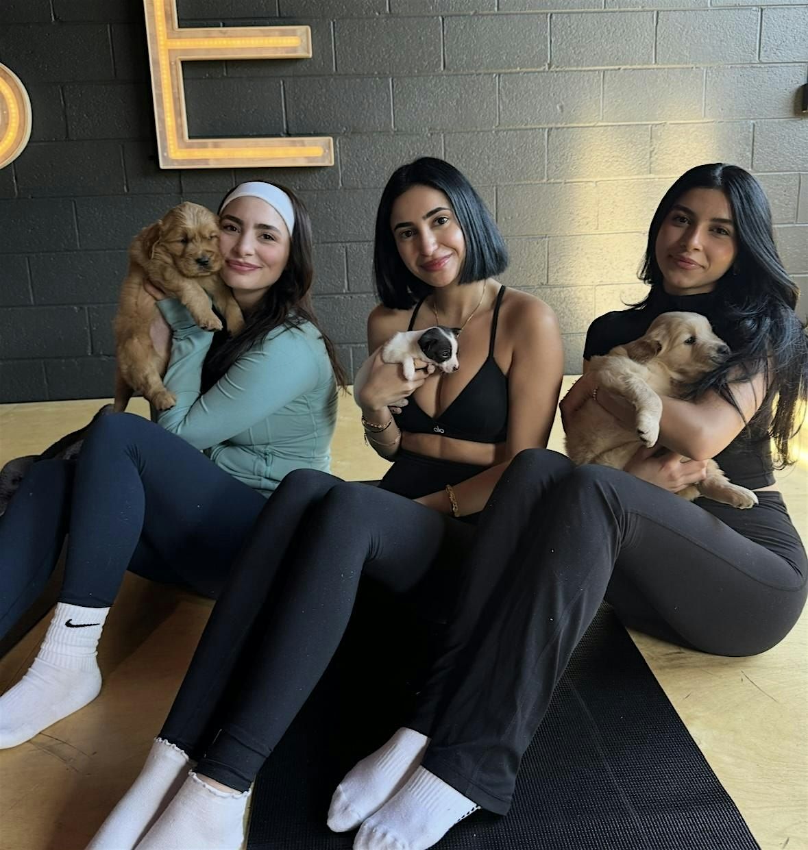 PUPPY YOGA DETROIT