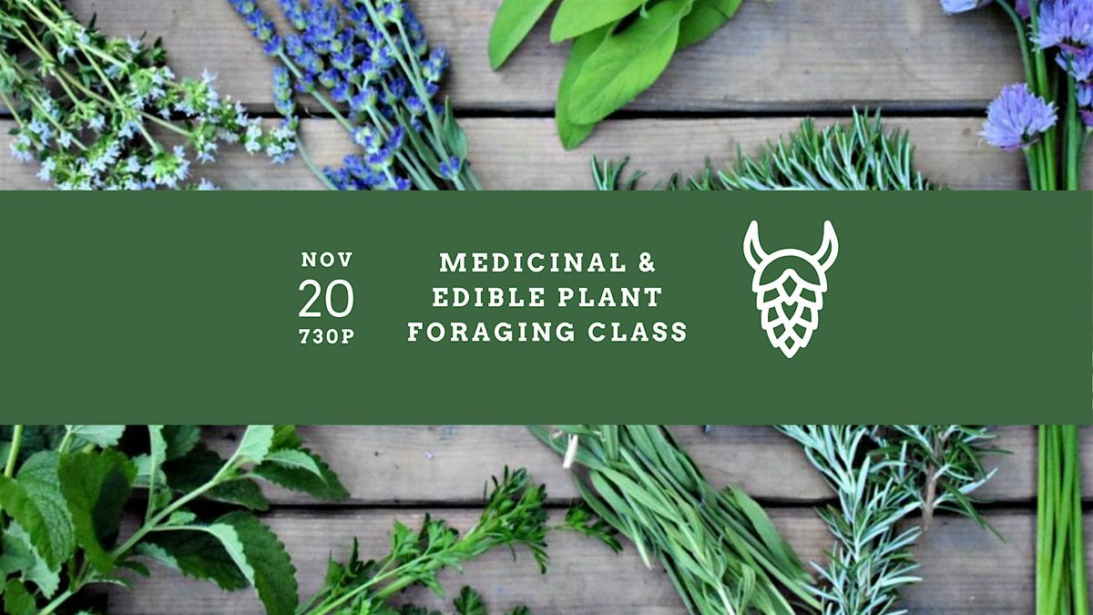 Medicinal & Edible Plant Foraging Class