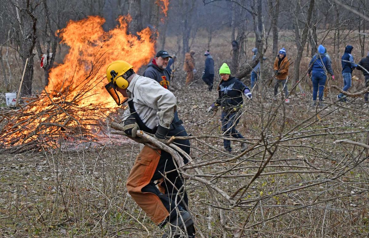 Volunteer Morning: Hickory Creek \u2014 LaPorte Road Access