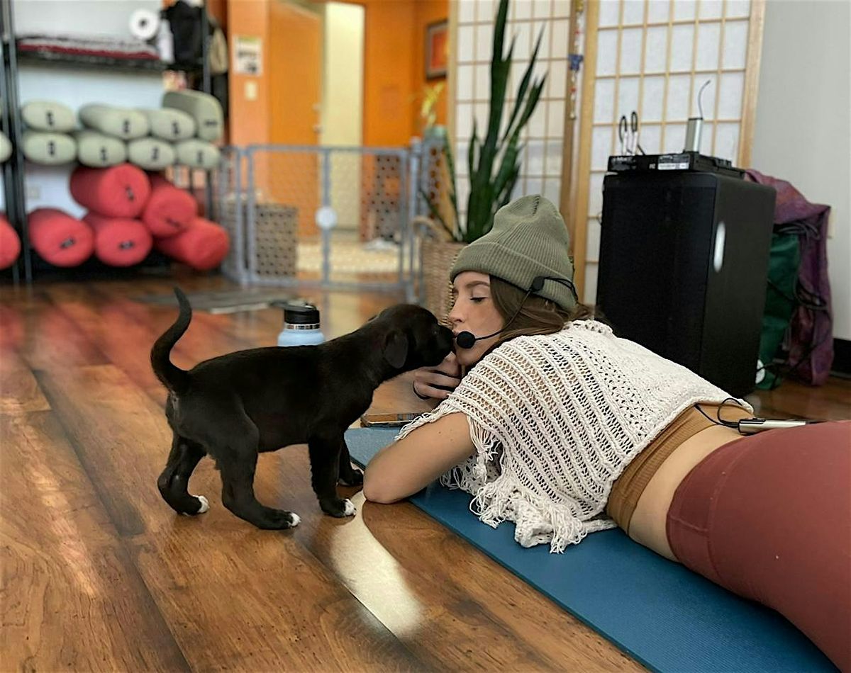 Rescue Puppy Yoga at The Orchard Town Center!