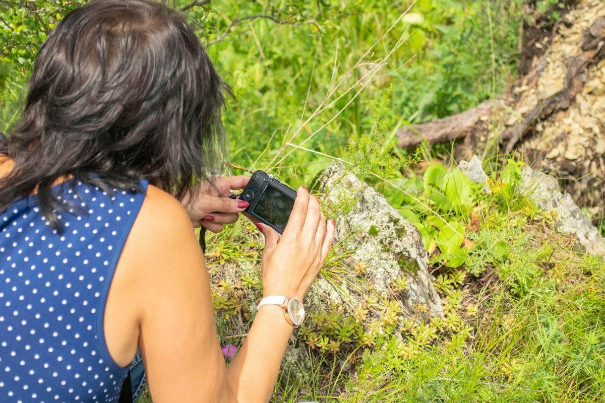 Appreciating Your Garden Through Your Camera