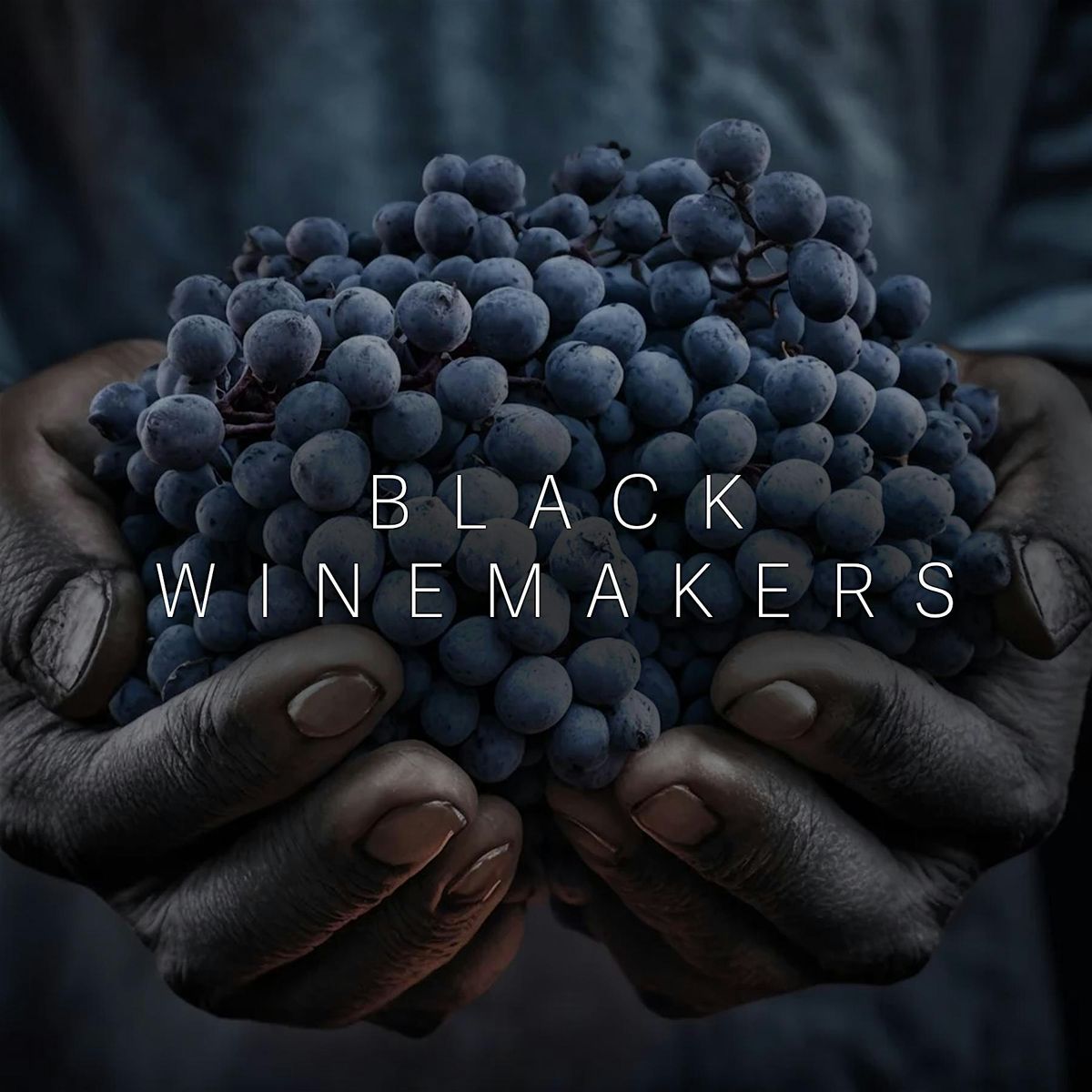 BLACK WINE MAKERS TASTING