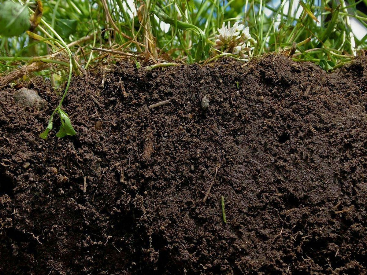 Understanding Soil Health  - Webinar