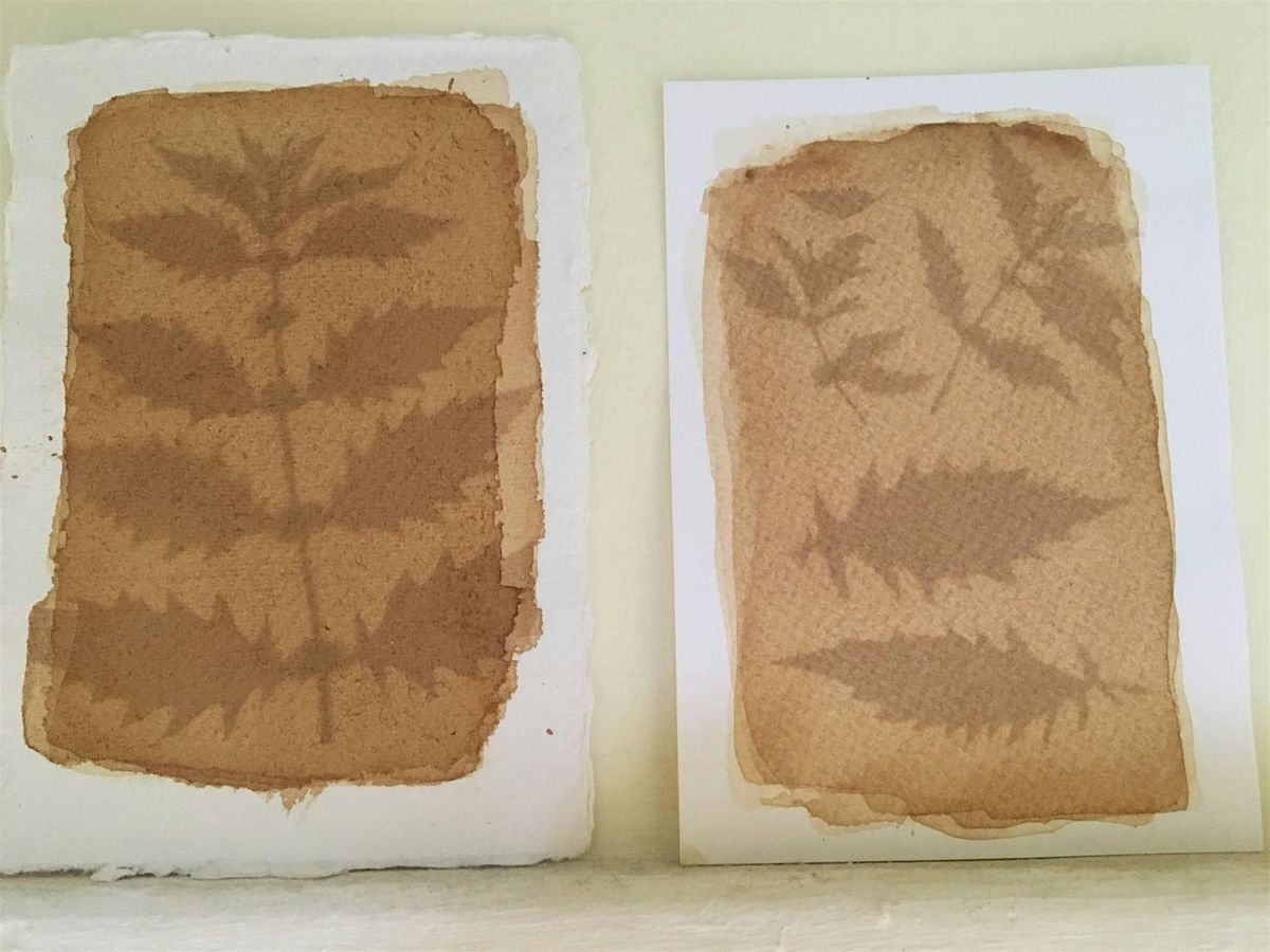 Botanical Printmaking workshop