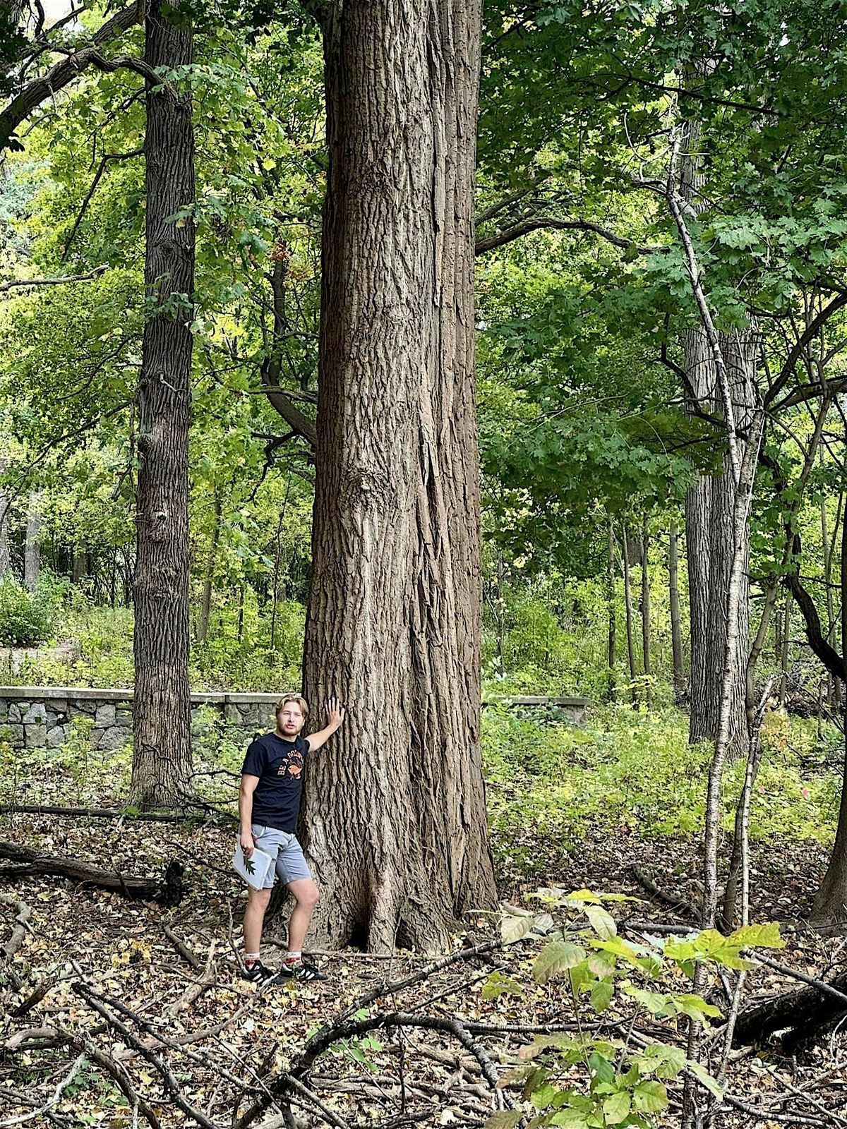 County Grounds Park \/ Sanctuary Woods - Forest Tour 10\/25\/25 @9am