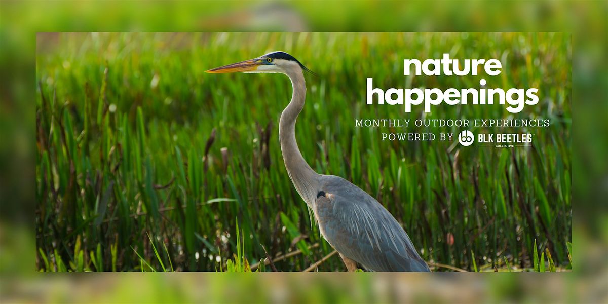 Nature Happenings: Community Hike + Birdwatching Powered by BLK Beetles
