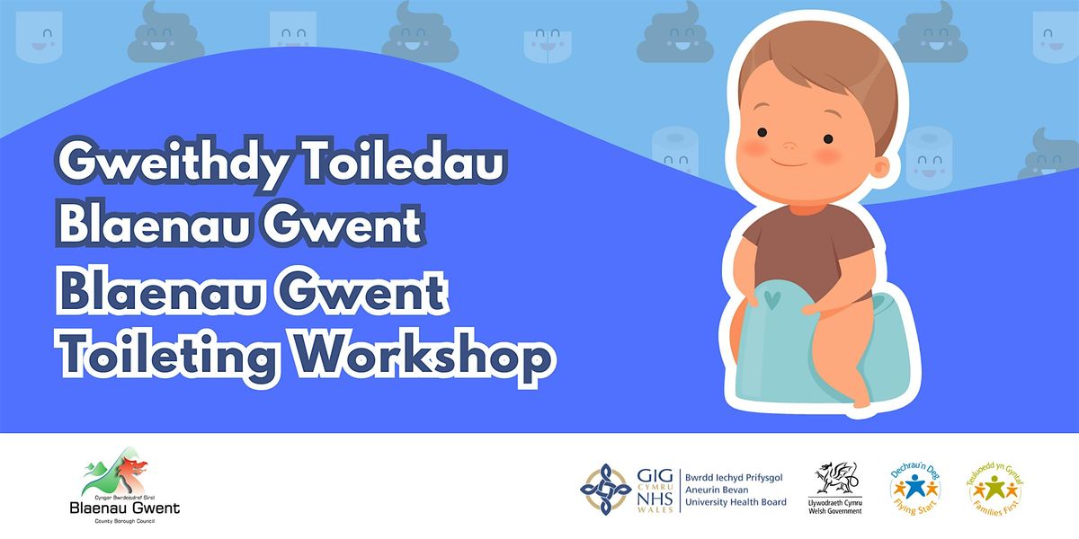 Blaenau Gwent Toileting Workshop