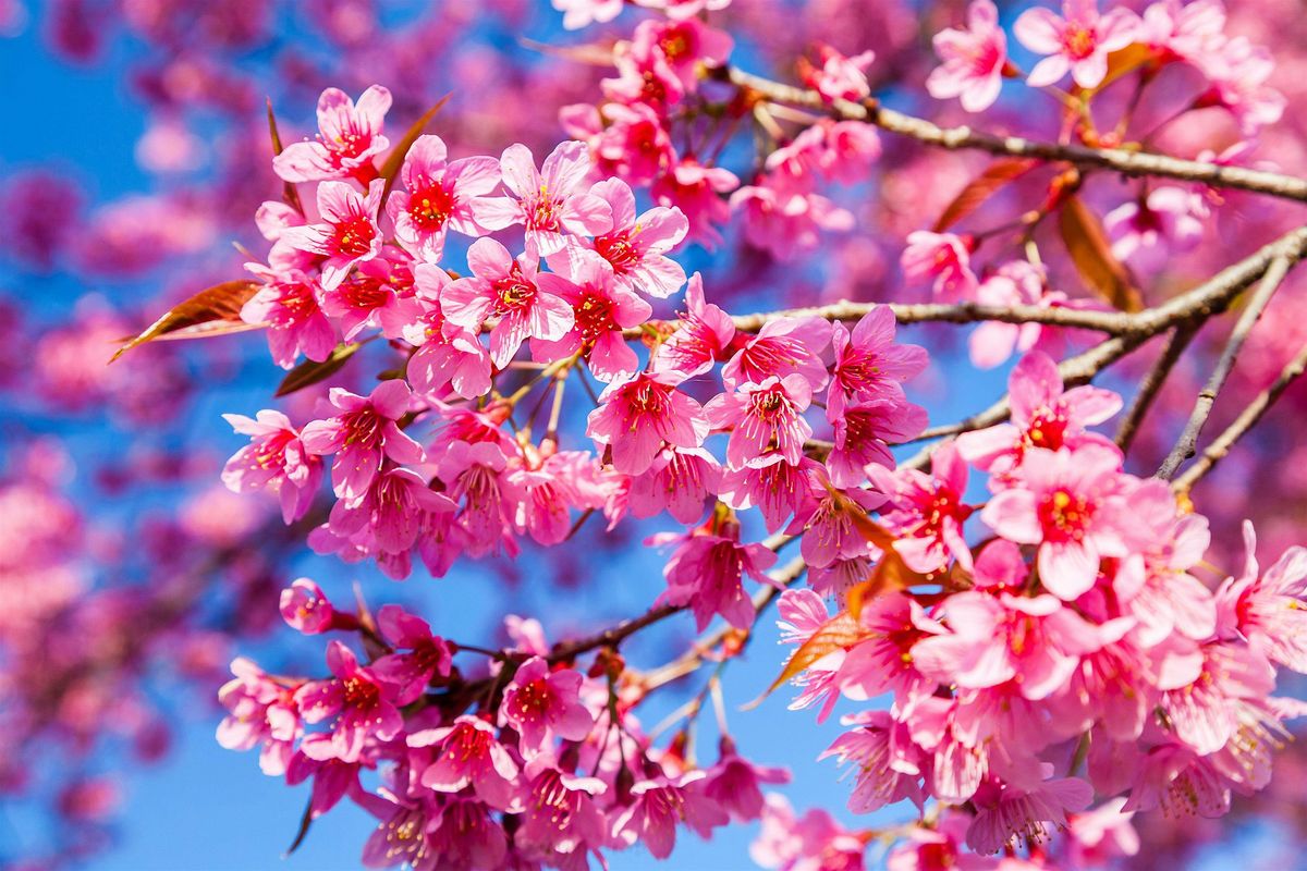 Ostara Spring Equinox Ceremony