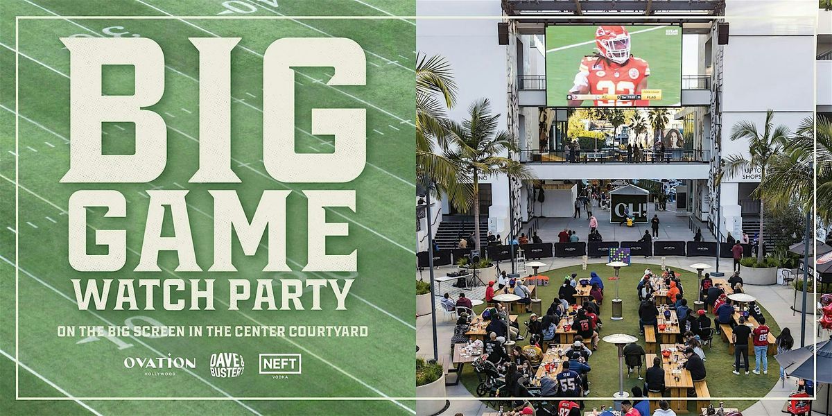 The Big Game Watch Party on the BIG Screen